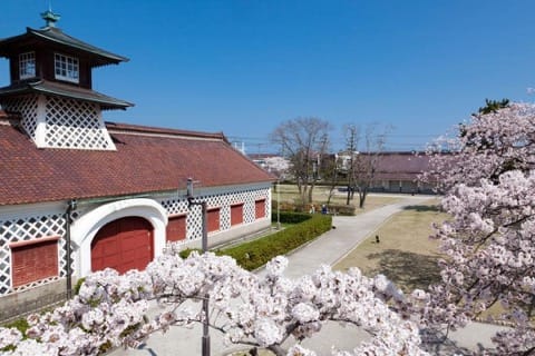 新潟桜:旧税関
