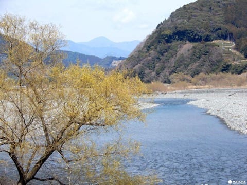 Ride a steam locomotive up Shizuoka's scenic Oigawa River valley and stay at a Noka Minshuku, a B&B run by a farming family offering genuine hospitality and memories you'll treasure.