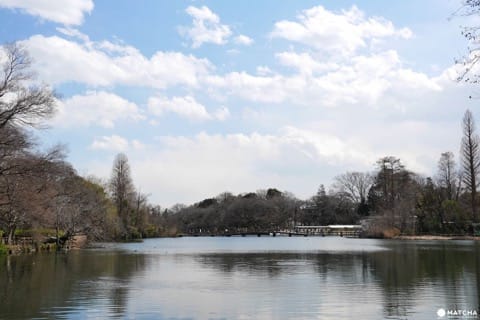 吉祥寺井之頭公園
