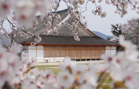 A Stroll Through The 400-Year-Old Castle Town of Tanba Sasayama
