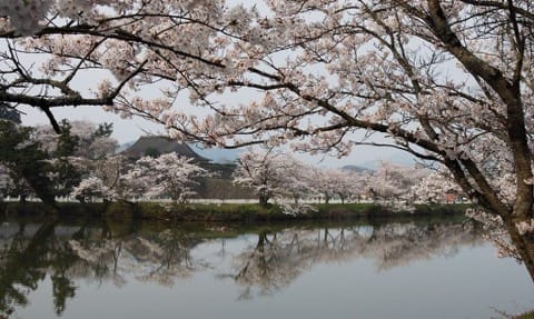 A Stroll Through The 400-Year-Old Castle Town of Tanba Sasayama