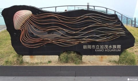 山形県の文化に出会える鶴岡と酒田ツアー