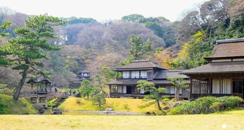 【横浜観光】SNS映えする絶景写真が撮れる!春~初夏にオススメの横浜観光モデルルート