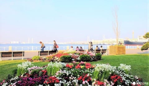 【横浜観光】SNS映えする絶景写真が撮れる!春~初夏にオススメの横浜観光モデルルート