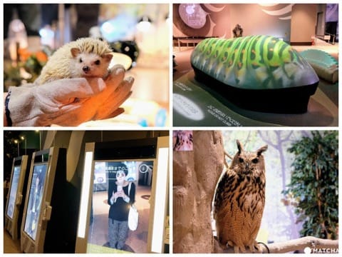 【横浜観光】SNS映えする絶景写真が撮れる!春~初夏にオススメの横浜観光モデルルート