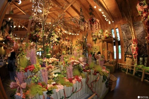Farm Tomita Dried Flower House