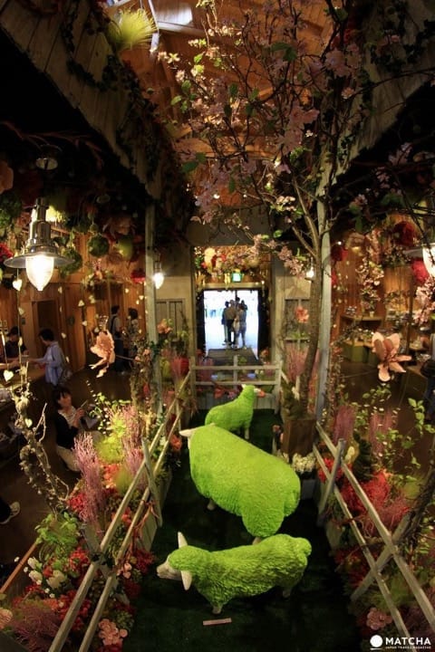 Farm Tomita Dried Flower House