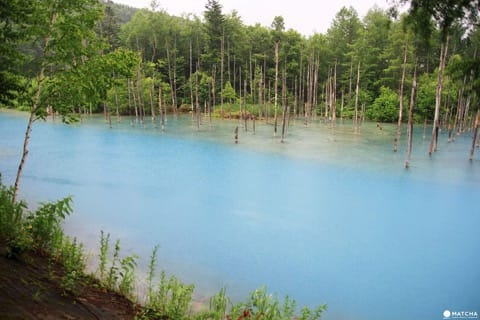 Shirogane Blue Pond