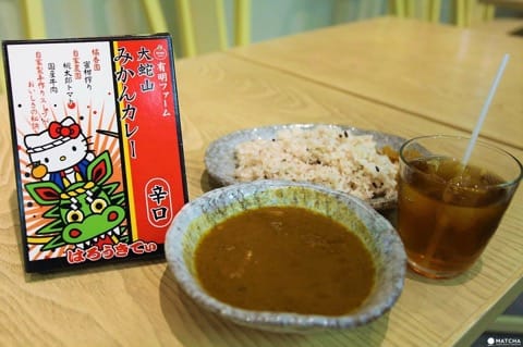 大蛇山みかんカレー
