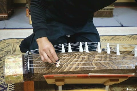 Koto - Discover The Sound Of An Amazing Traditional Instrument | MATCHA ...