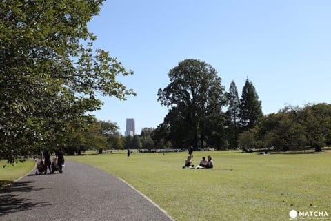 都内の動物園・博物館・公園が無料になる!お得な無料開放日カレンダー