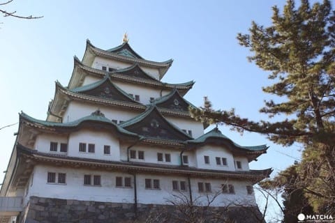 日本の雨期「梅雨」のシーズン