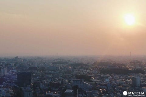 無料展望台まとめ