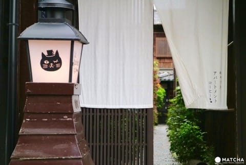 築100年を超える京町家でゆったりと暮らす猫たち@キャットアパートメントコーヒー