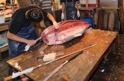 築地マグロ解体