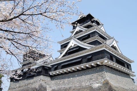 Japan's Cherry Blossom Viewing Guide: Tips And Spots To See The Sakura