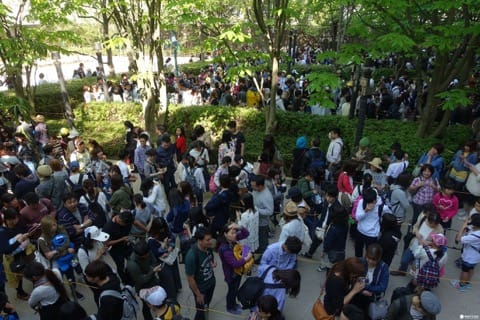 【大阪】日本環球影城 迷你兵團園區食買玩報告