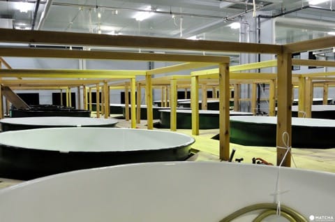 Sogen Sake Brewery, Noto Peninsula