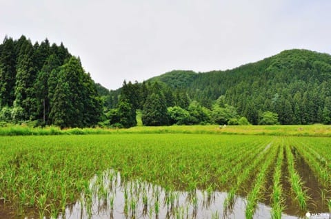 Sogen Sake Brewery, Noto Peninsula