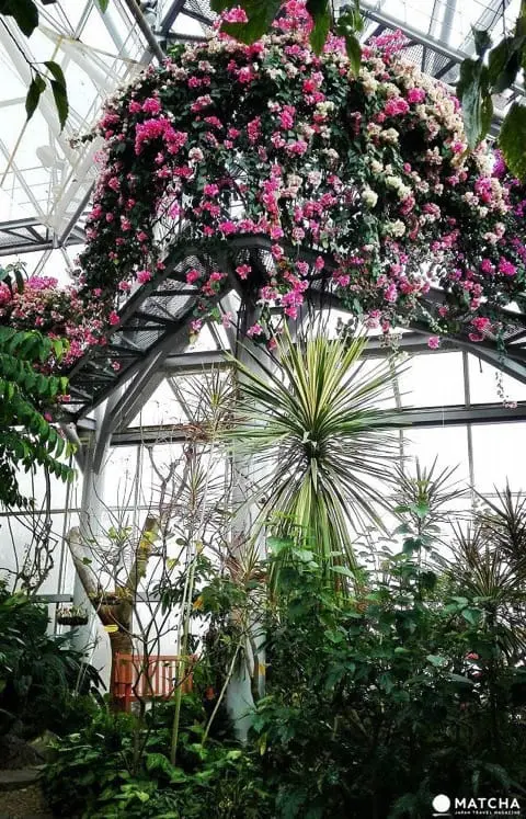 Nunobiki Herb Garden - A Hidden Gem In The Heights Of Kobe - Japan