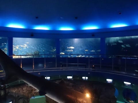 京急油壺海洋公園