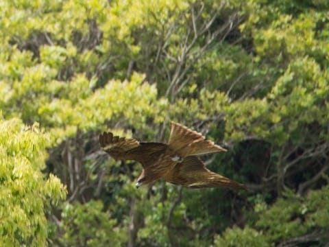 南郷上之山公園