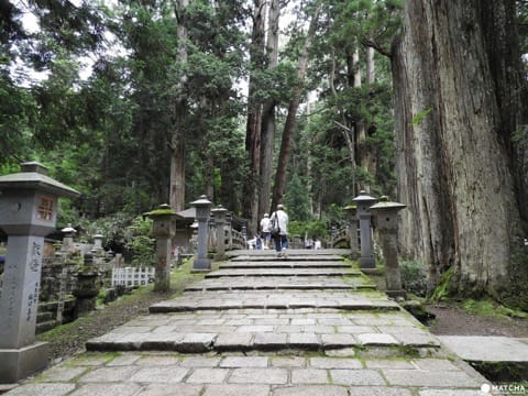 【和歌山県】1200年の歴史を誇る仏教の聖地、高野山に行こう!