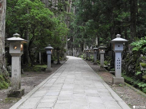 【和歌山縣】來去擁有1200年歴史的日本佛教聖地、高野山!