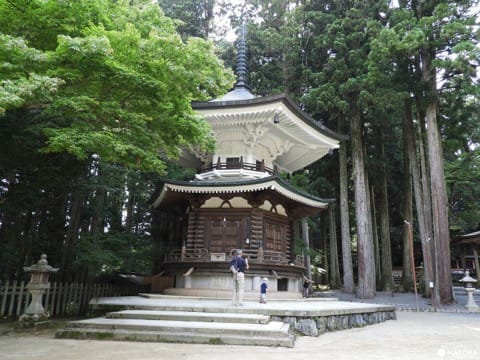 【和歌山縣】來去擁有1200年歴史的日本佛教聖地、高野山!