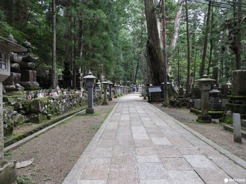 【和歌山県】聖地・高野山を訪れるのに役立つ、お得情報!