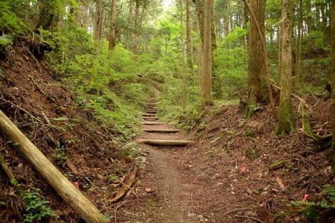 【和歌山県】聖地・高野山を訪れるのに役立つ、お得情報!