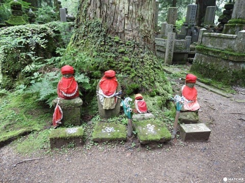 【和歌山県】聖地・高野山を訪れるのに役立つ、お得情報!