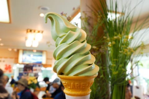 什麼!?這也能做成冰淇淋?超乎想像的日本冰淇淋