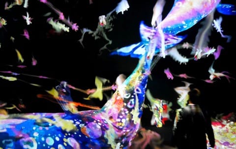 teamLab Jungle
