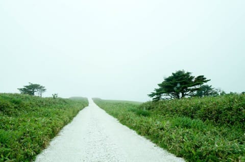 征服日本最北端!北海道稚内景点整理