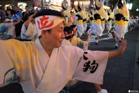 Experience Awa Odori “Fool’s Dance” in Tokyo with the Tengu-Ren!