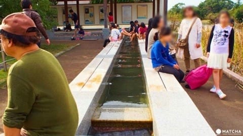【福冈】来柳川绝对不能错过的游船和吃鳗鱼!