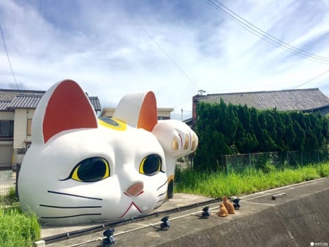 常滑巨大招財貓