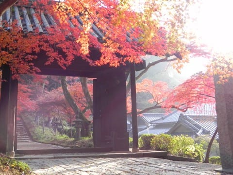 Around Akizuki Castle
