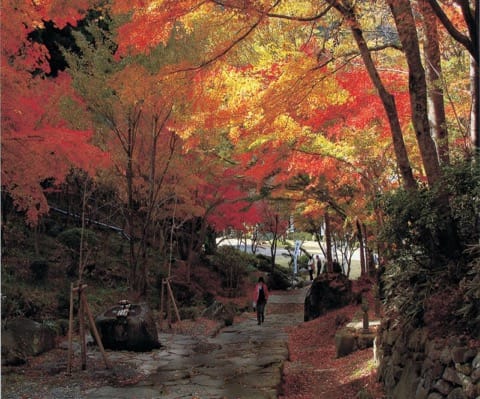 Mt. Hiko Shrine