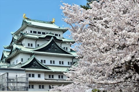 日本东海地方 爱知名古屋城
