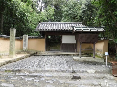 【奈良県】慈光院でお茶のおもてなしと庭園を楽しもう