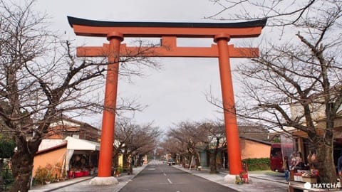 佐賀縣祐德稻荷神社-賞楓大鳥居