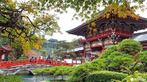 佐賀縣祐德稻荷神社-賞楓大鳥居
