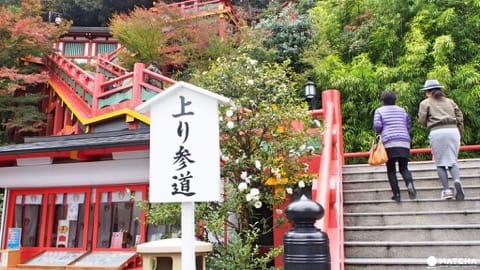 佐賀縣祐德稻荷神社-賞楓上樓