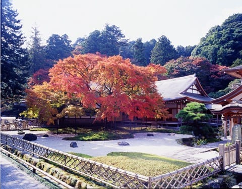 Sennyoji
