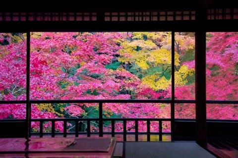 瑠璃光院