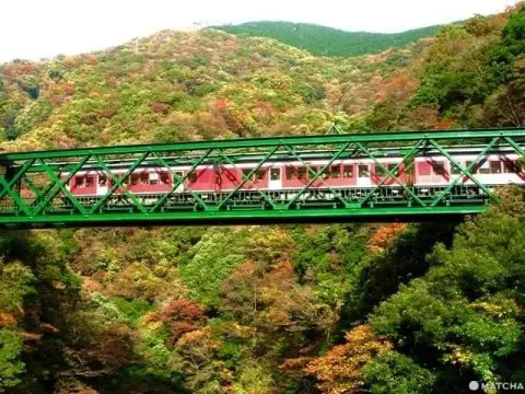 秋季箱根1日游，欣赏艺术、庭园、茶室和烂漫红叶- MATCHA