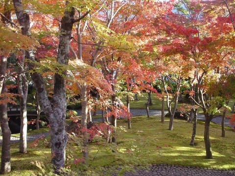 箱根美術館