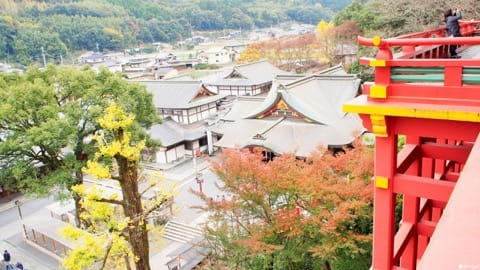 【佐賀縣】美到讓人忘記呼吸,祐德稻荷神社賞楓趣!